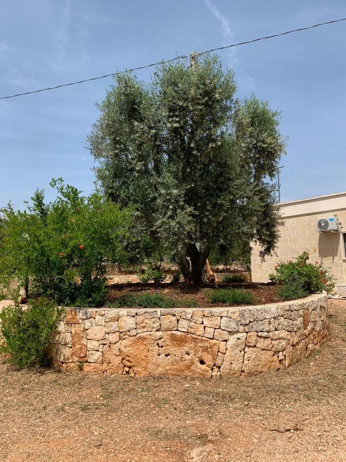Il Trullo Di Francesca Ceglie Messapica Exterior foto