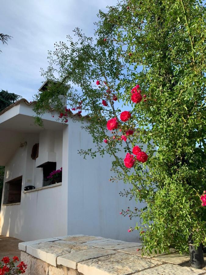 Il Trullo Di Francesca Ceglie Messapica Exterior foto